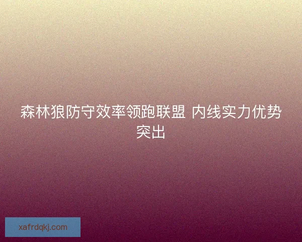 森林狼防守效率领跑联盟 内线实力优势突出